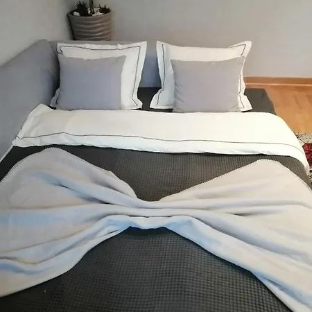 Anejo Belvil בלגרד